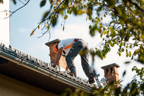 Roof Gutter Cleaning in Quarryville, PA